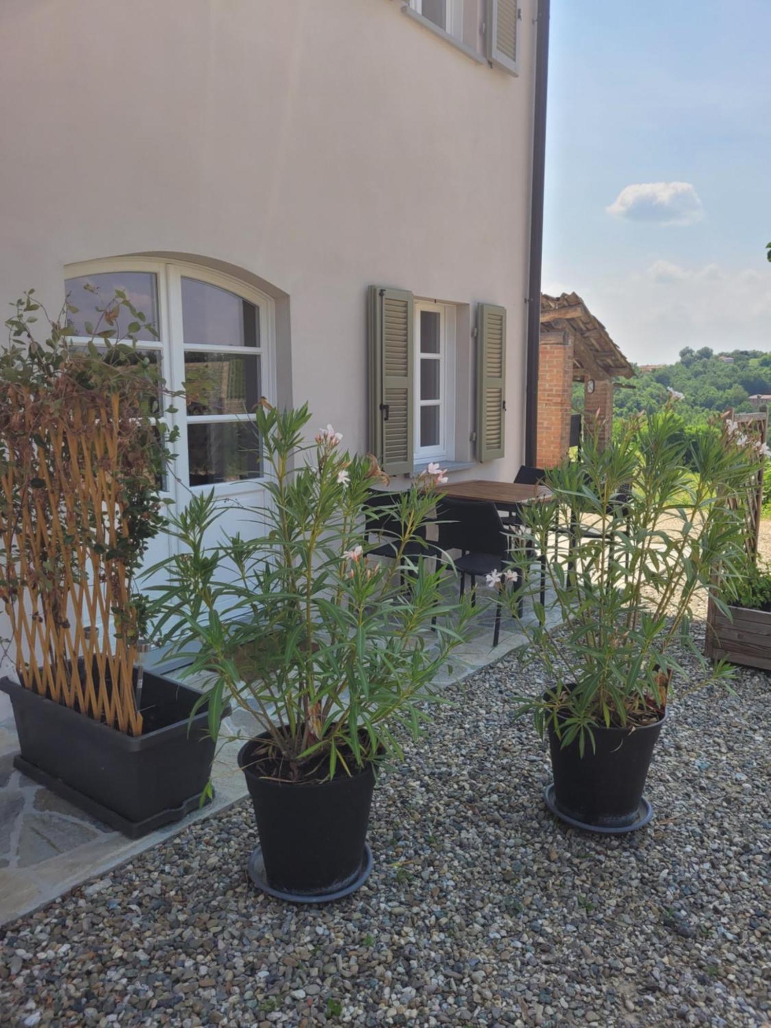 Cascina Allegria Castelnuovo  Zewnętrze zdjęcie