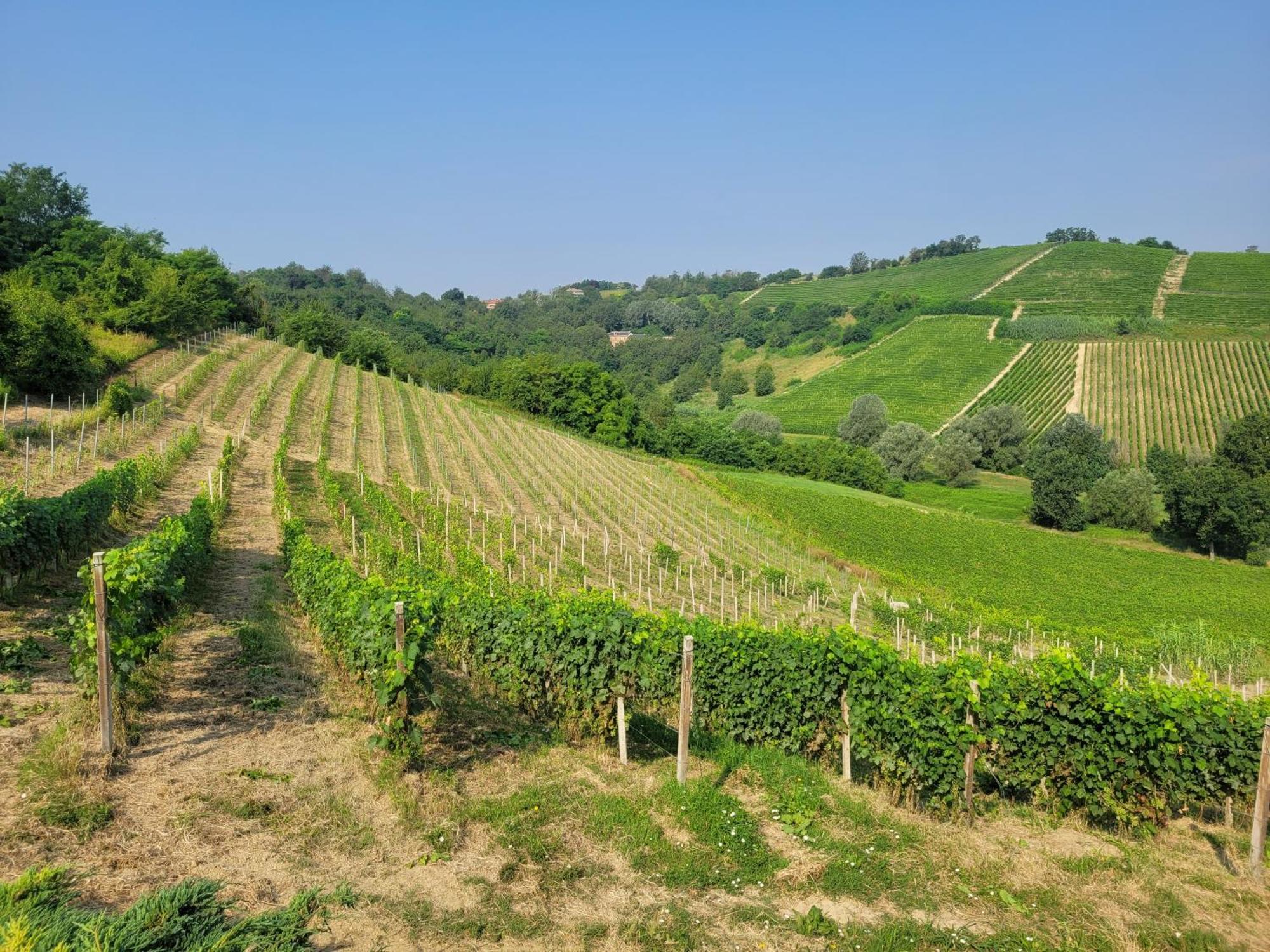 Cascina Allegria Castelnuovo  Zewnętrze zdjęcie